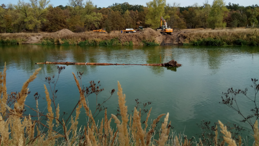 Large wood in river restoration